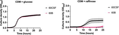 Streptococcus pneumoniae Strains Isolated From a Single Pediatric Patient Display Distinct Phenotypes